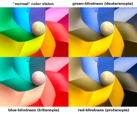 Normal color vision/ green-blindness/ blue-blindness/ red-blindness