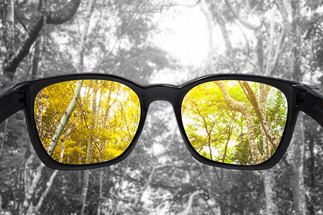 Color Blindness: What Is It And How Is It Detected?